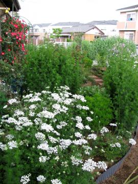 �I������