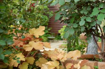 �I�[�v���K�[�f��