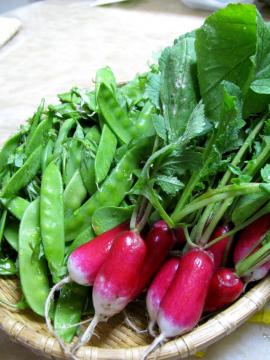 ���f�B�b�V���@�C���Q��