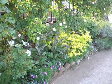 �y���X�e�����@���M