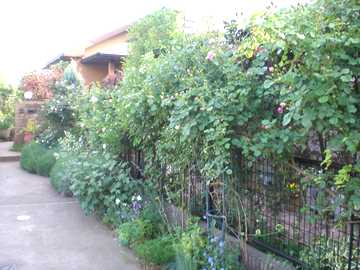 �I�[�v���K�[�f���@�o��