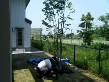 �R�n�E�`���J�G�f