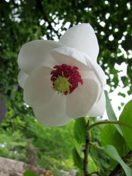 �I�I���}�����Q