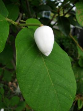 �I�I���}�����Q�@�Q