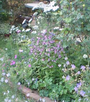 �y���X�e�����@�p�[�v�����C���b�N�@��A��