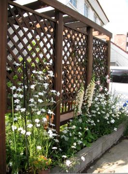 �o���@�p�[�S��