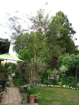 �l�G�炫�A�J�V�A