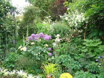 �h�����̒�