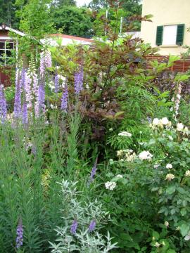 �E���~�Y�U�N��