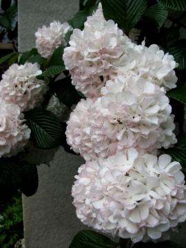 �I�I�f�}���@�W�F�~�j