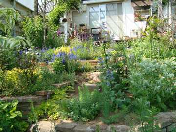 �I�[�v���K�[�f���@��錧