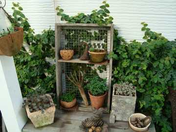 �K�[�f���G��