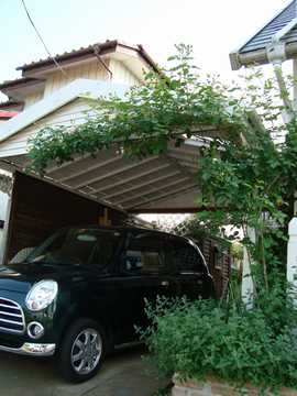 �K���[�W�@�c�h�x