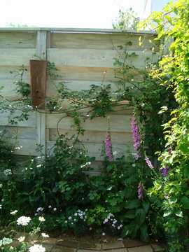 �W�M�^���X