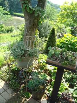 �K�[�f���@����