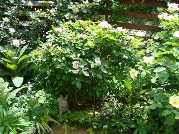 �o���@�W���b�N�J���`�F