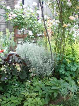 �h�����@�J���[���[�t