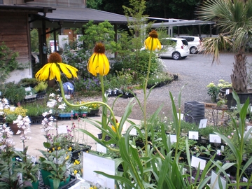 �G�L�i�Z�A