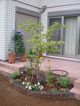 �G�L�i�Z�A�@�p���h�N�T�@�A��