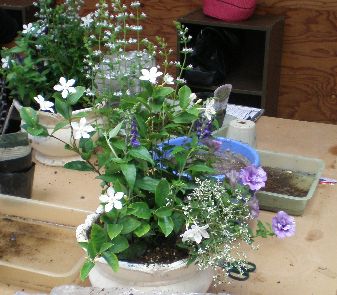 ���q�l��i