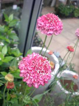 �X�J�r�I�T�@�T�[�����s���N