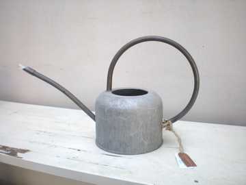 �u���L�@�K�[�f���G��