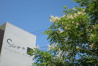 �V�}�g�l���R�@��