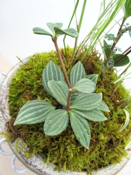 �y�y���~�A