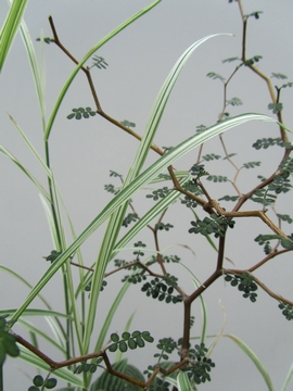 �\�a�c�A�V