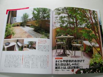 �e���X�K�[�f��