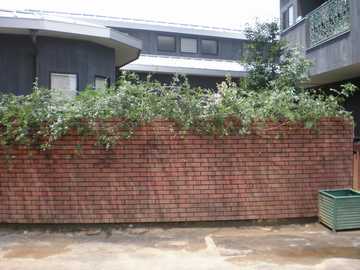 ���b�R�E�o���@�ę���