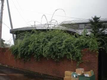 ���b�R�E�o���@����O