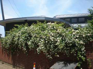 ���b�R�E�o���@��