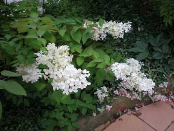 �m���E�c�M