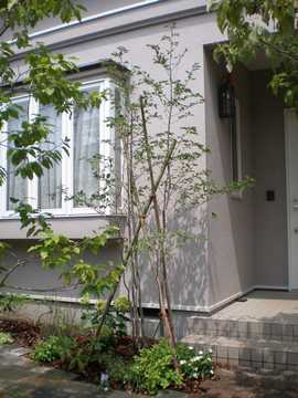 �A�I�n�_�@�A��