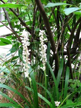 ���u����