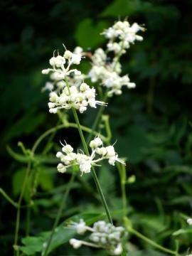 ���u�~���E�K