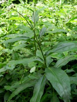 ���u�~���E�K