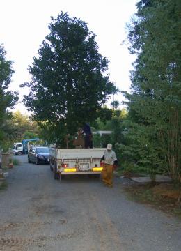 �N���K�l���`