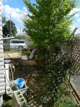 ���H�ł��B