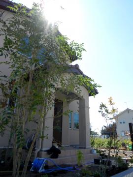 �V�}�g�l���R