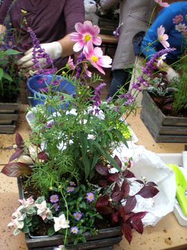 ���q�l��i