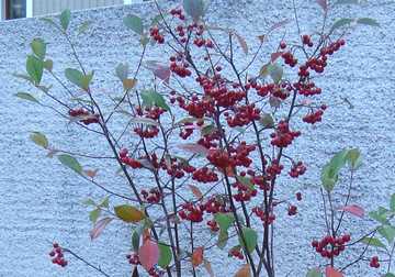 �A���j�A�@��