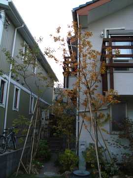 �R�i���@�g�t