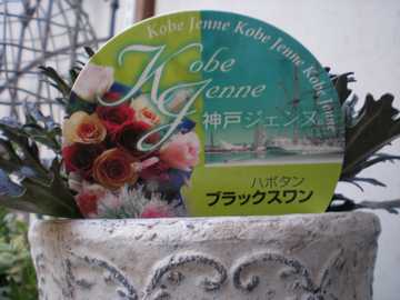 �n�{�^���@�u���b�N�X�����@���x��