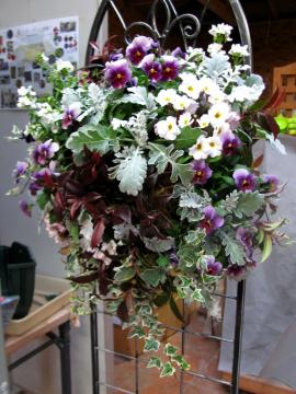 �n���M���O