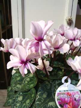 �~�j�V�N������