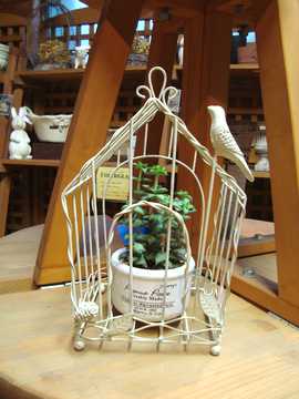 �o�[�h�n�E�X