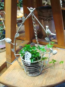 �o�[�h�|�b�g�n���O