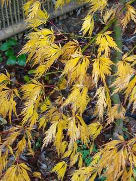 ���~�W�@������@